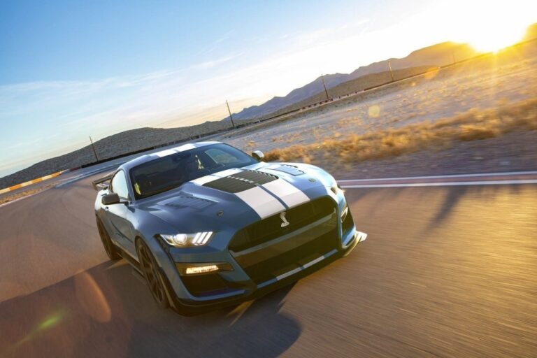 Shelby